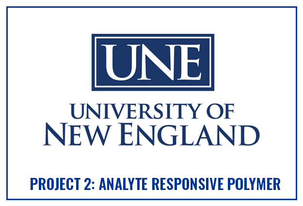 UNE Logo Project 2 Lead