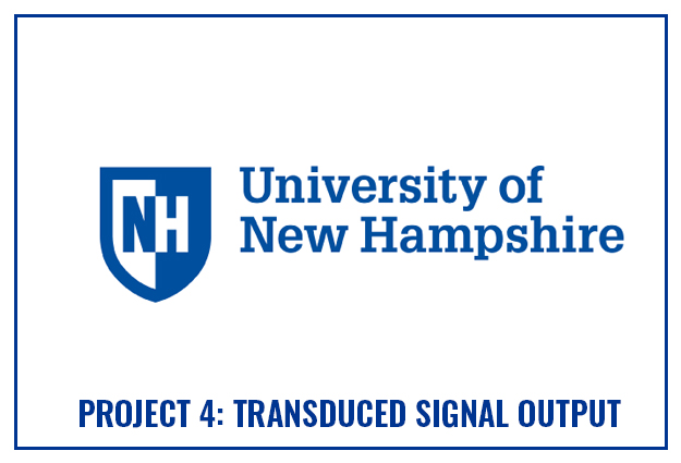 UNH Logo Project 4 Lead