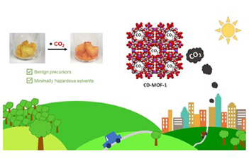 schematic image of MOF for green chemistry applications