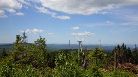 Wind turbines on a hill with trees