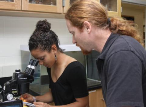 New England College Professor Jim Newcomb assists an undergraduate researcher who is peering into a microscope