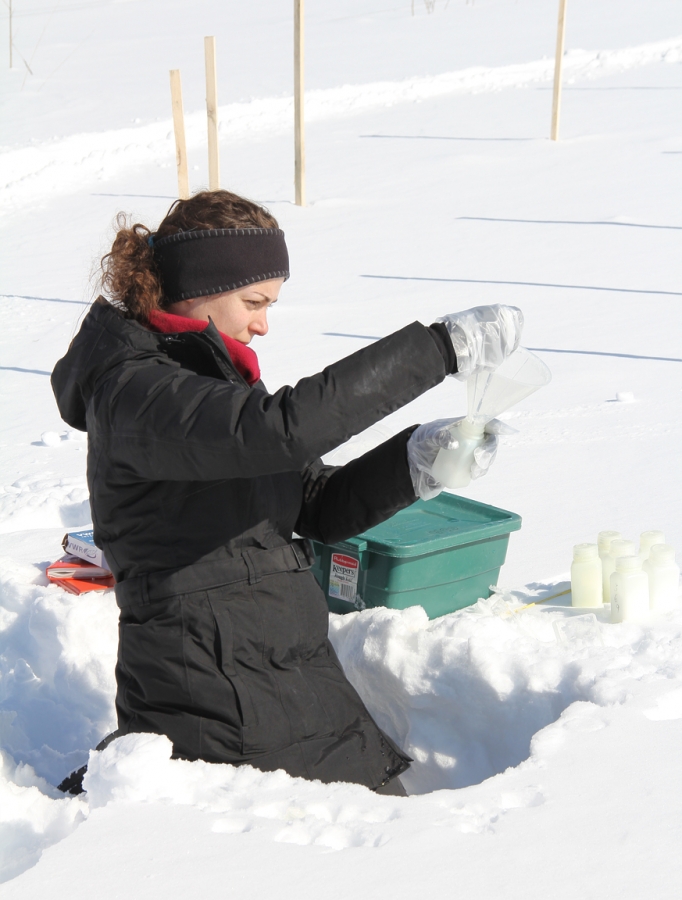 woman collecting samples in the snow